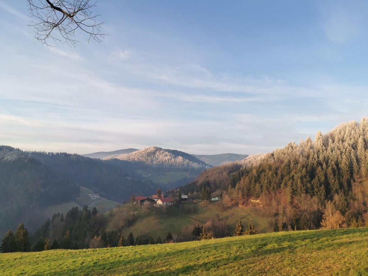 Villa Richterberg With Sauna & Hot Tub Slovenj Gradec Zewnętrze zdjęcie