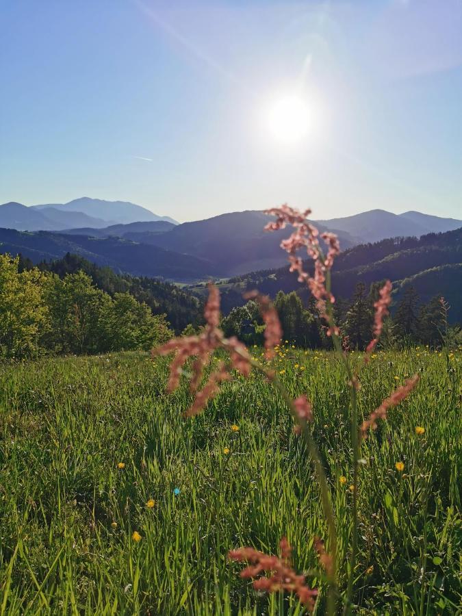 Villa Richterberg With Sauna & Hot Tub Slovenj Gradec Zewnętrze zdjęcie