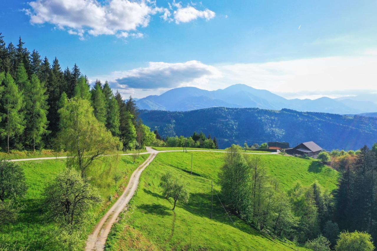 Villa Richterberg With Sauna & Hot Tub Slovenj Gradec Zewnętrze zdjęcie