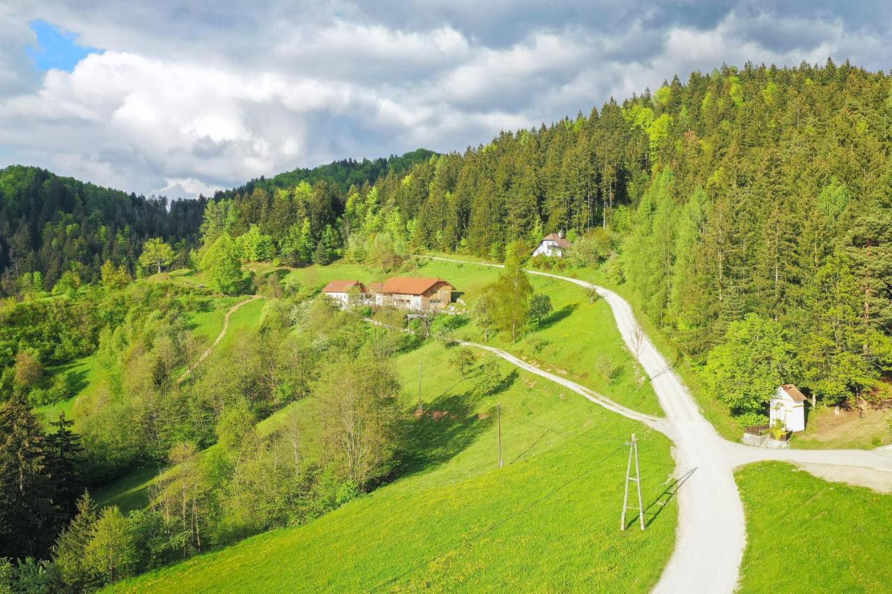 Villa Richterberg With Sauna & Hot Tub Slovenj Gradec Zewnętrze zdjęcie